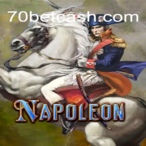 Exploring the Strategies and Rules of Napoleon Card Game